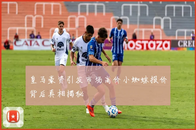 皇马豪资引发市场高价小蜘蛛报价背后真相揭秘